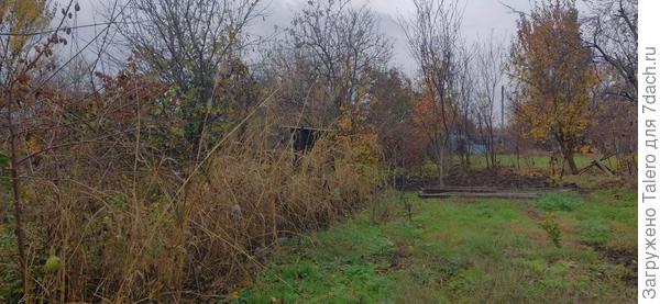 А основной огород так и стоит некопаным