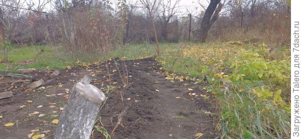 И выполола далеко не всё!