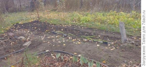 Финальный итог