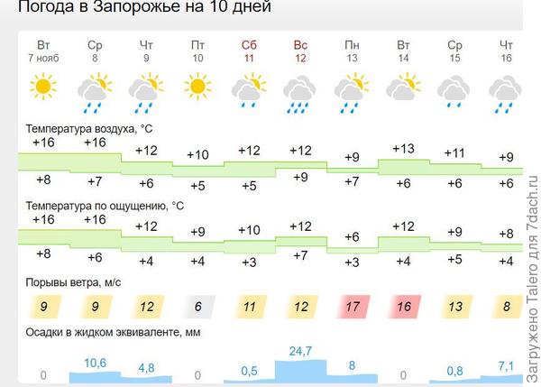 Вот как жить и когда на дачу поехать?