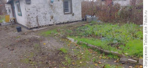 Бочки убрали, а ведро забыли! Будет зимовать на улице