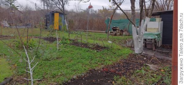 Дворик теперь нарядный