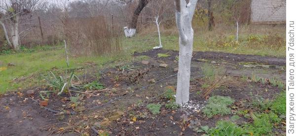 Так ведь вид совсем другой у дачи!