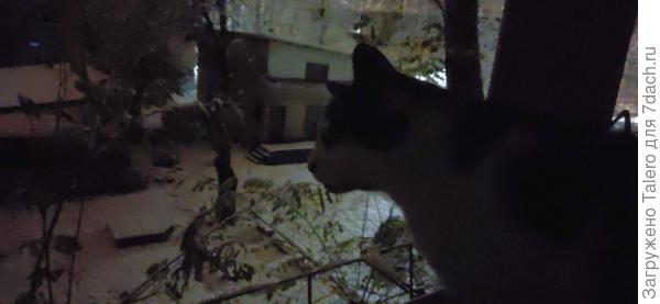 Темно и видно плохо