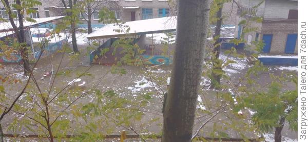 С утра снег выглядит так