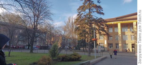 Это напротив, дом культуры, рядом с ним вековые ели, но все подгулявшие. А где-то квартал вниз — мой дом