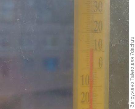 +11, солнышко.