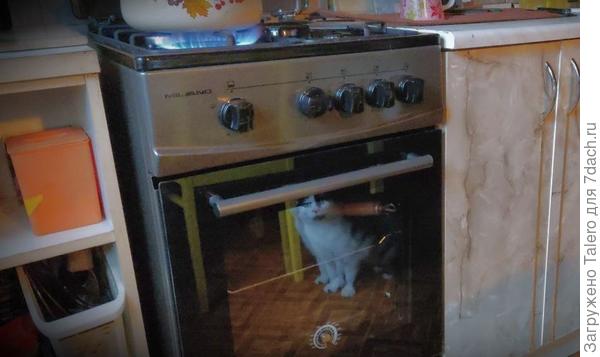 А у меня артистическое фото котика получилось)) Духовку испытали, небо и земля по сравнению со старой