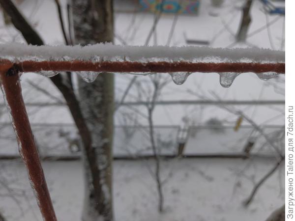 Сегодня с утра идёт снег