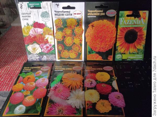 И цветочки!