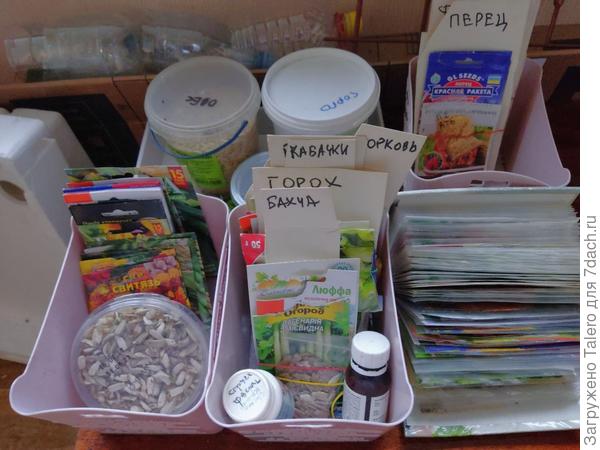 Основную массу этого всего надо посадить в этом году!