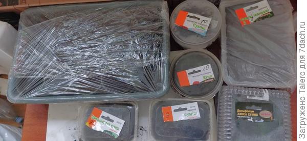 В большом корыте — остатки газации. В смысле гацании