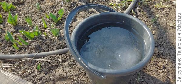 Ведро выжило! Но вода всё ещё полузамёрзшая