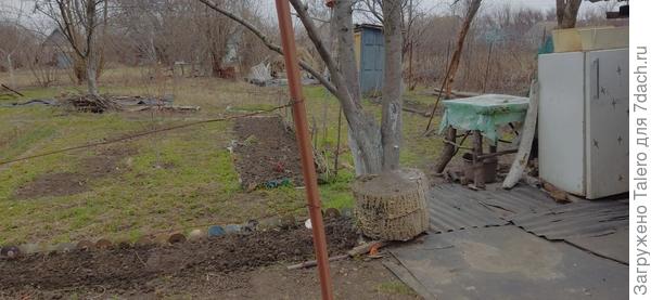 На зеленной грядке в этом году будет лук (вроде шалот) и чеснок из семян