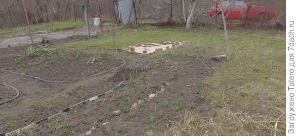 Ещё кусок земли отвоёвываю у сорняков