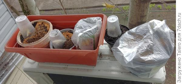 Солнышко только закатилось, а так им там неплохо