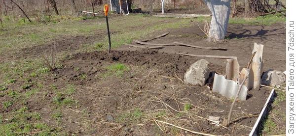 Начало работы, хлам с пионов уже убран, трава выкопана