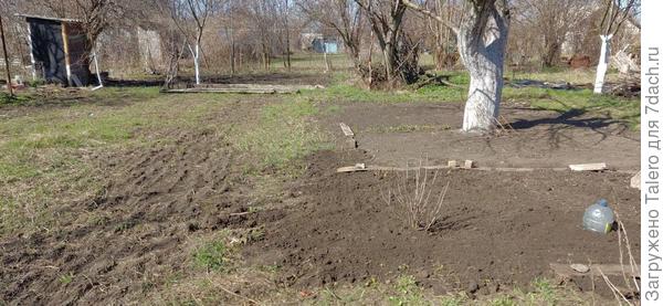 Облагороженные участки позволили заново провести линию тропинки