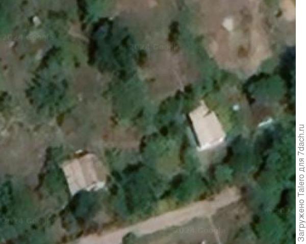 Семёновна слева, потом мой, а рядом в зелени ореховый сосед