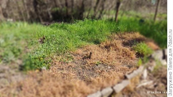 Имеется в виду это