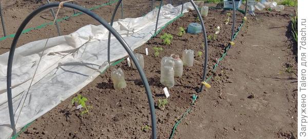 И выглядит он так