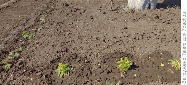 Скоро он замкнётся