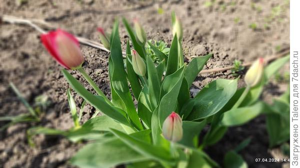 Первый на очереди