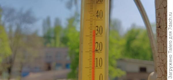 А за окном между тем...