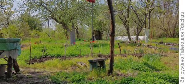 Вид теперь не такой роскошный, как от двери, но со временем и тут что-то повырастает