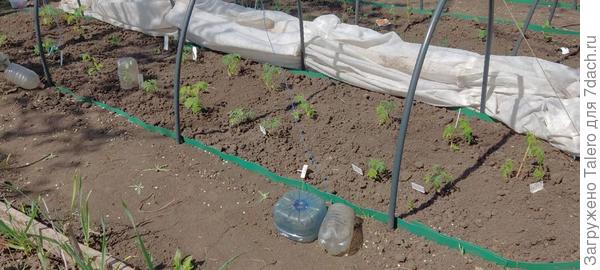 Кое-кто тут ещё умрёт, дав дорогу молодым