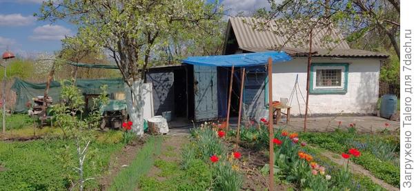 На общедачном плане тент почти не виден