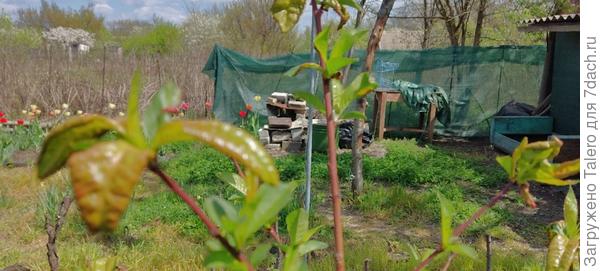 И его уже покорёжило