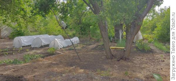 Огород близится к завершению посадок