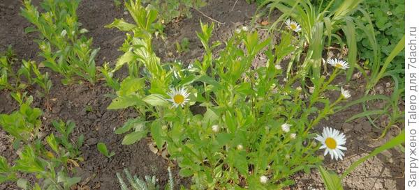 И мелких, и побольше