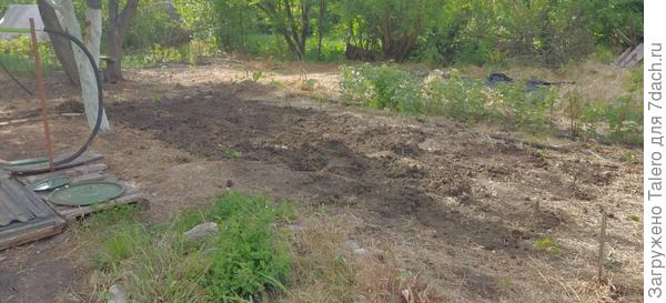 Сказано — сделано!