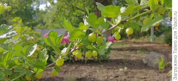 Остальные пока готовятся