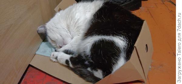 Да что его представлять, вот он))