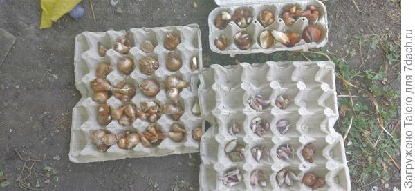 Финальный результат