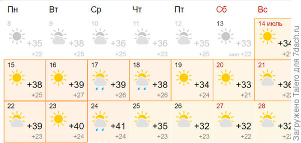 А теперь о ближайших перспективах