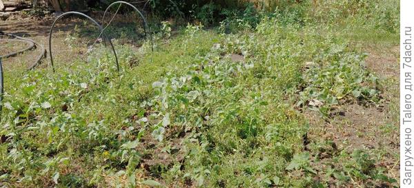 Но вообще всё выглядит вот так