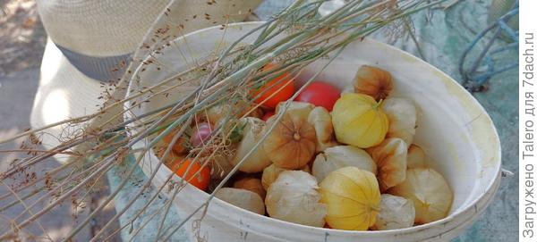 Вот такие вот урожаи