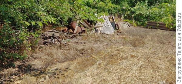 Страх, ужас и помойка