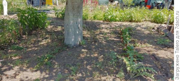 Так стало после уборки