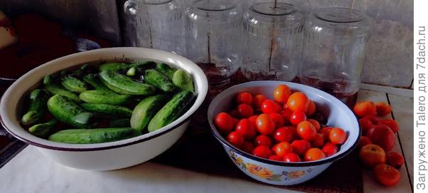 Огурцы все покупные, кроме одного моего, помидоры все мои, кроме одного покупного