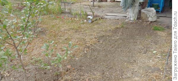 Заодно разровняла бывшую грядку
