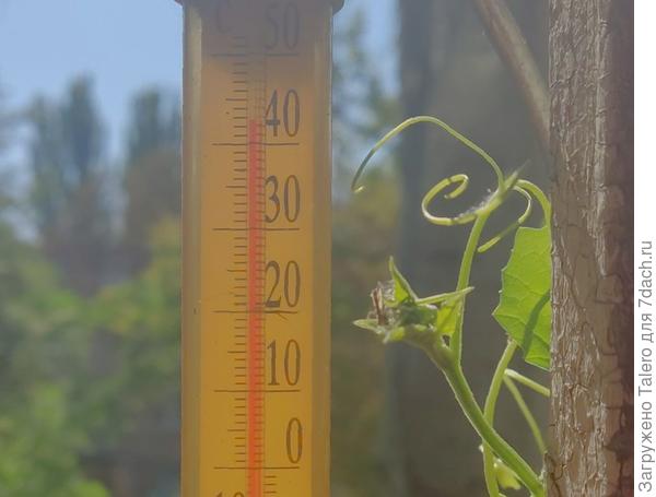 Я вот утром вышла на кухню, а там...