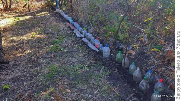 А вот и результат-2!