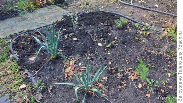 Гацании покинули дачу