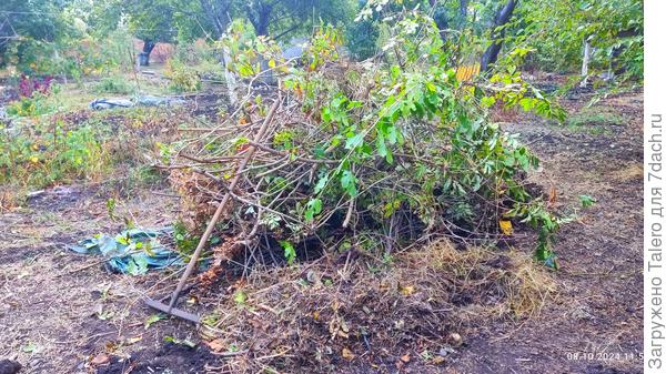 Ну а куча пока потерпит, не до неё