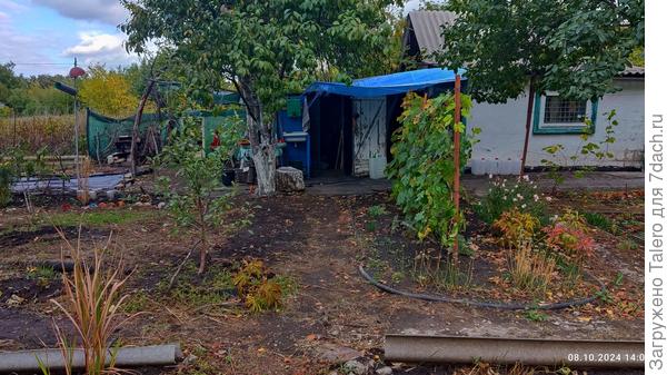 День был пасмурный и тихий